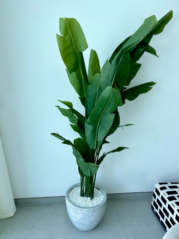 Maya Artificial Strelitzia Tree 190cm