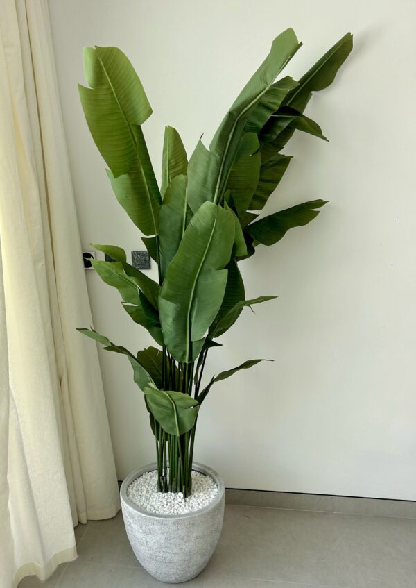 Maya Artificial Strelitzia Tree 190cm - Image 2