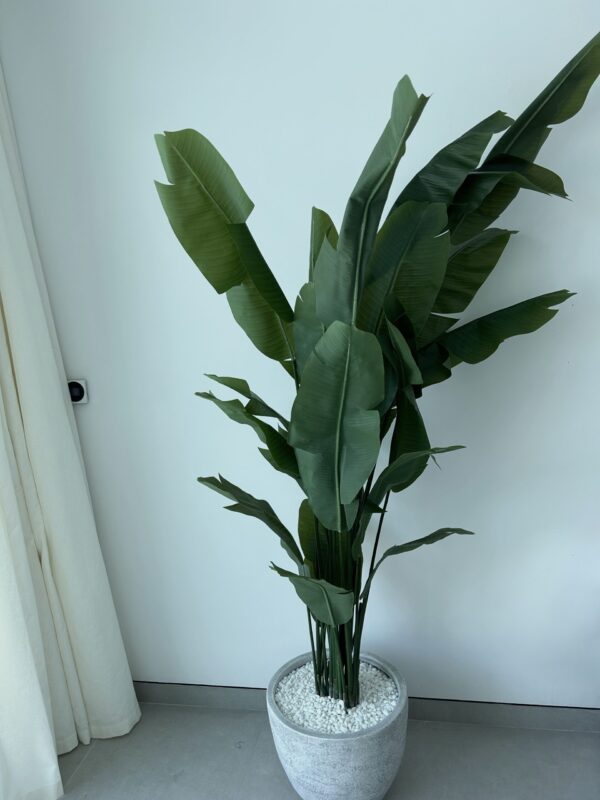 Maya Artificial Strelitzia Tree 190cm - Image 5