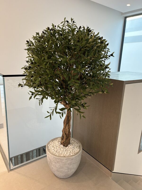 Olivia Artificial Olive Tree 170cm - Image 2