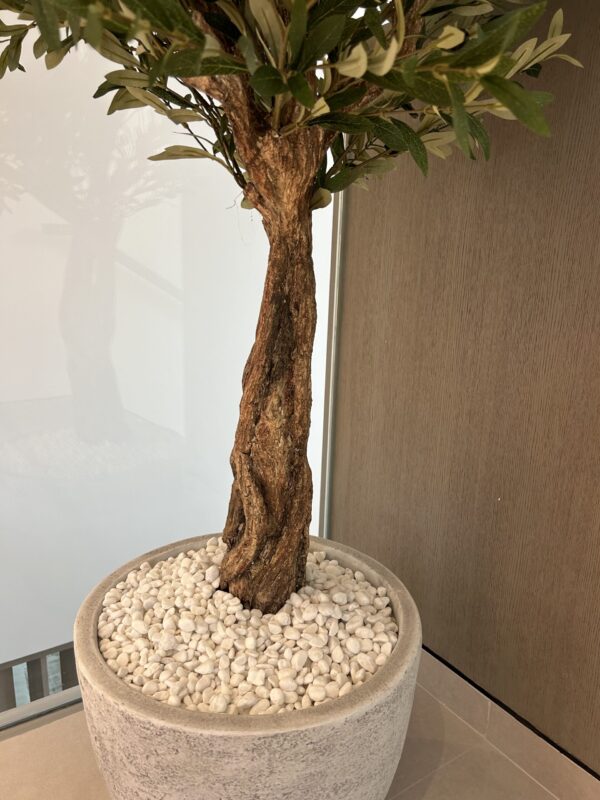 Olivia Artificial Olive Tree 170cm - Image 3