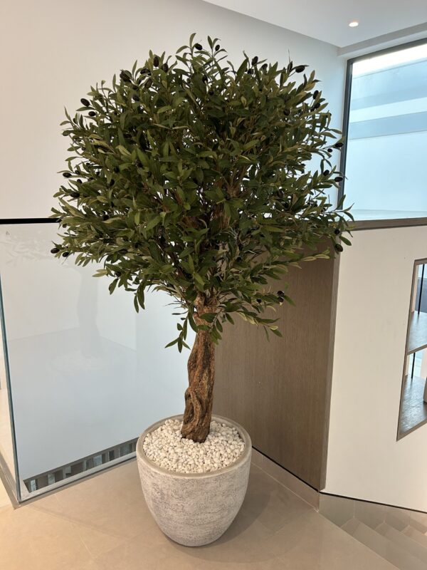 Olivia Artificial Olive Tree 170cm