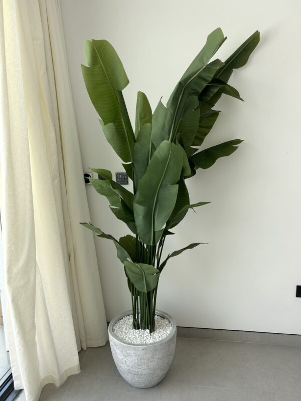 Maya Artificial Strelitzia Tree 190cm - Image 3