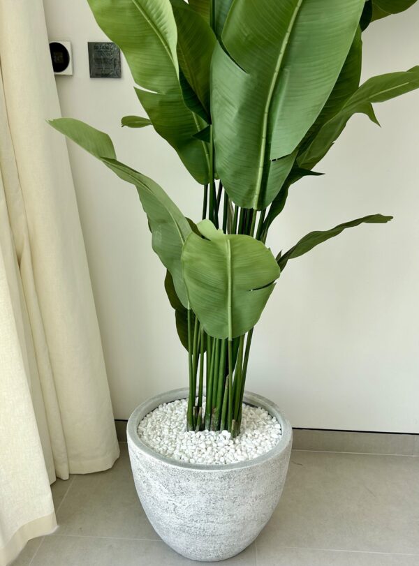 Maya Artificial Strelitzia Tree 190cm - Image 4